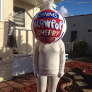 Coolest Homemade Charms Blow Pop Costume