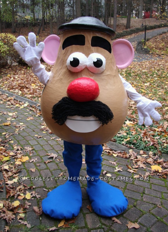 children's mr potato head costume