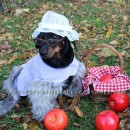 The Big Bad Wolf (as Grandma) Dog Costume