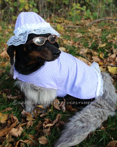 The Big Bad Wolf (as Grandma) Dog Costume