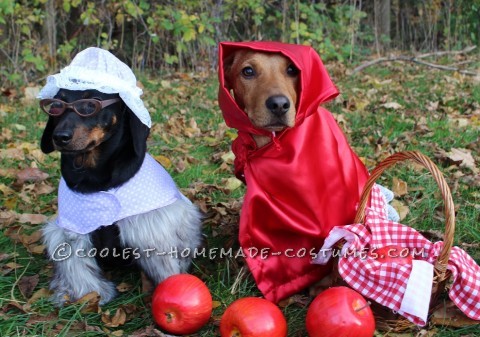 The Big Bad Wolf (as Grandma) Dog Costume