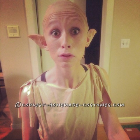 Epic Harry Potter Dobby the House Elf Costume