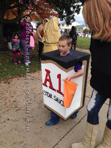 One and Only Steak and Sauce Costumes on the Block