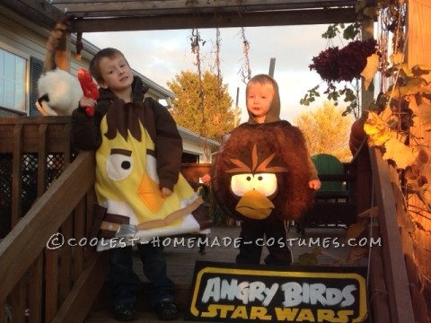 The Star Wars Angry Birds Family Costume