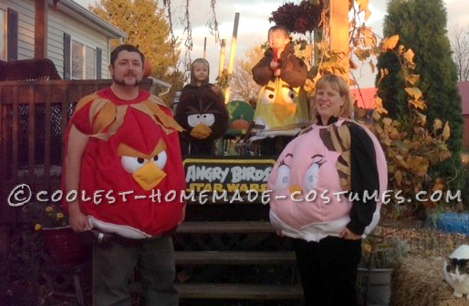 The Star Wars Angry Birds Family Costume