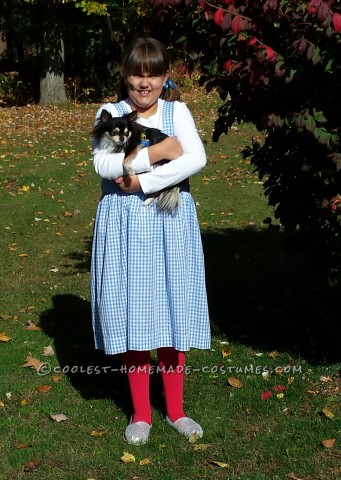 The Wizard of Oz Family Costume:  Recycled and Reprocessed