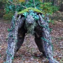 Cool DIY Lord of the Rings Tree Ent (Tree Monster) Costume