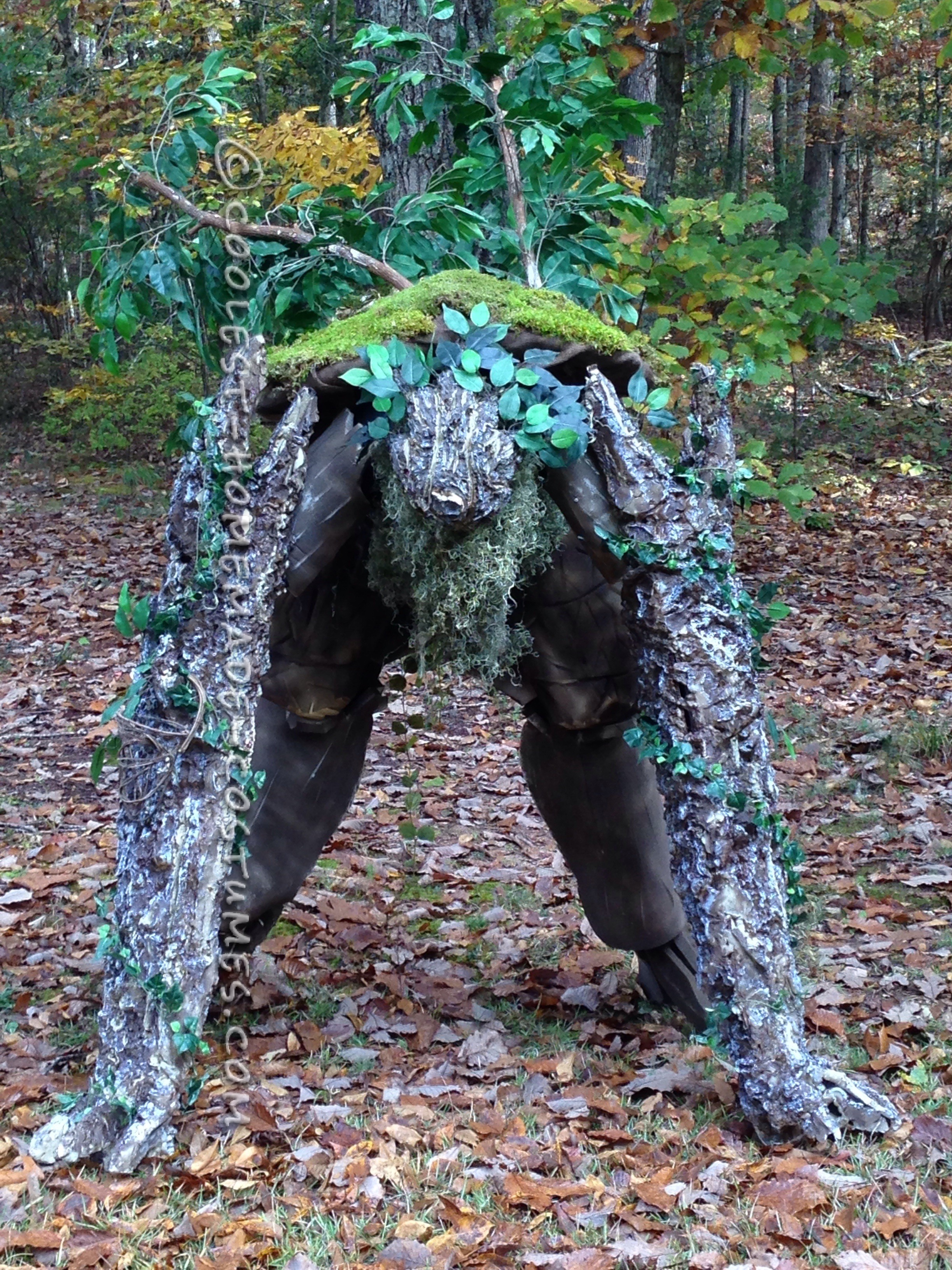 Cool DIY Lord of the Rings Tree Ent (Tree Monster) Costume
