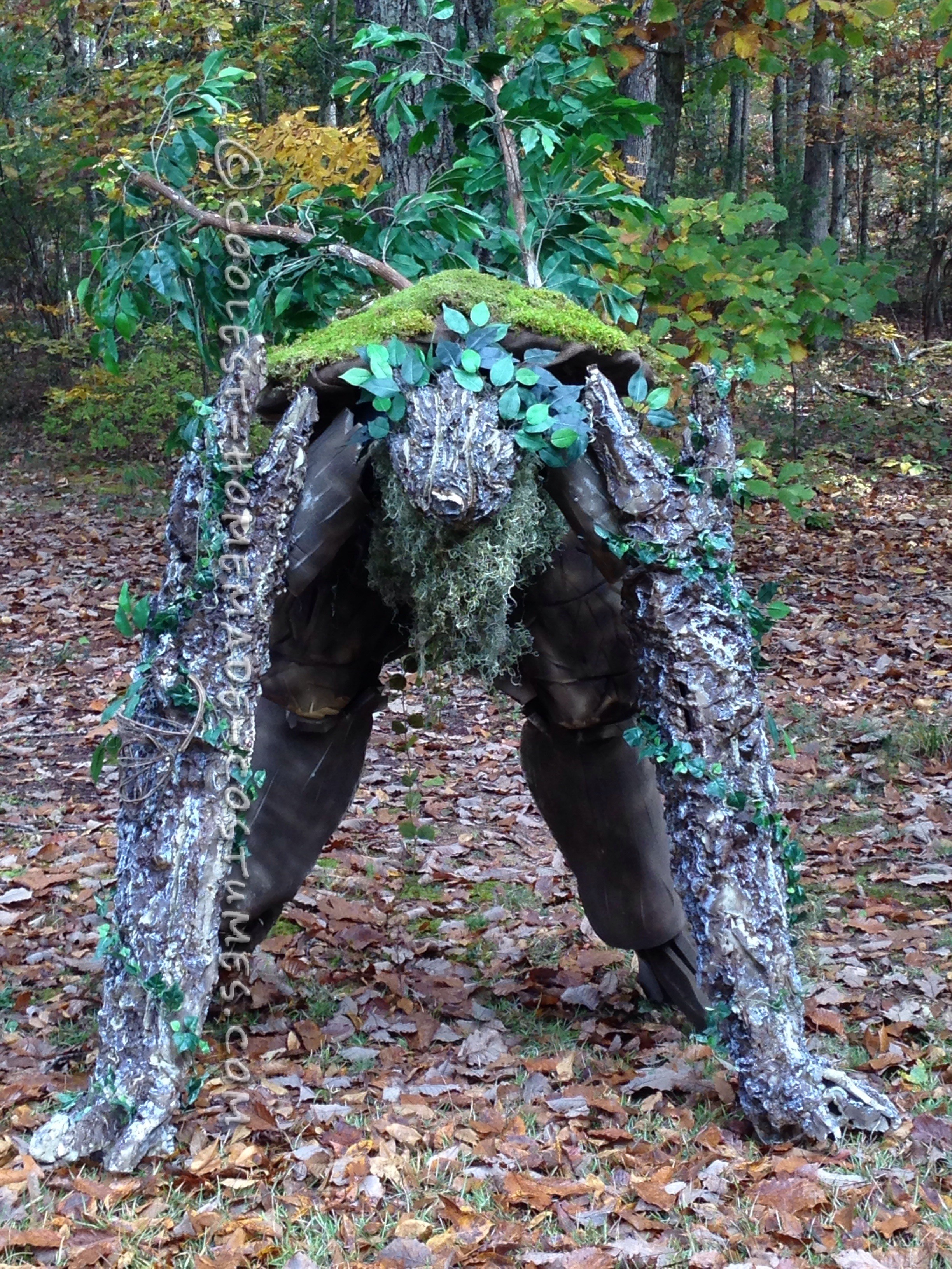 Treebeard (Ent) From Lord of the Rings | Treebeard, Lord of the rings, The  hobbit