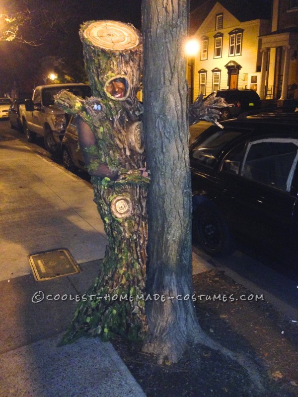 Tree Hugging Tree