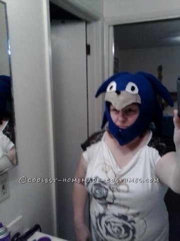 Cool Homemade Sonic the Hedgehogn Costume