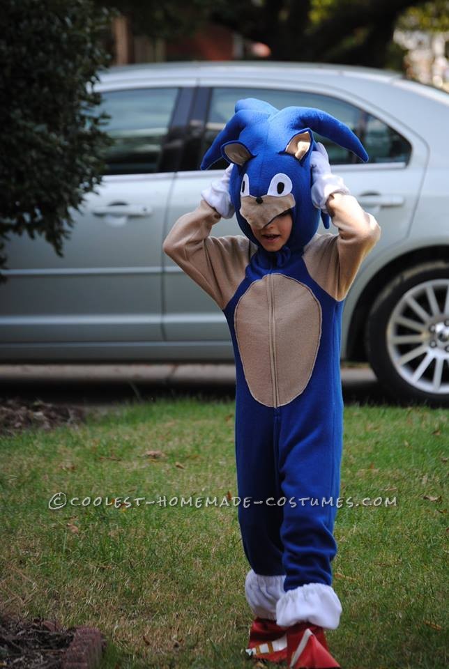 Cool Homemade Sonic the Hedgehogn Costume