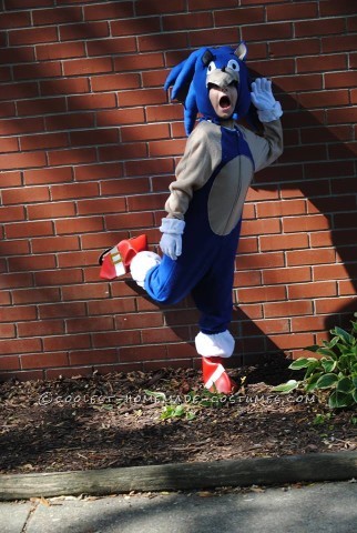 Cool Homemade Sonic the Hedgehogn Costume