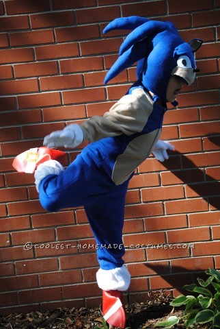 Cool Homemade Sonic the Hedgehogn Costume