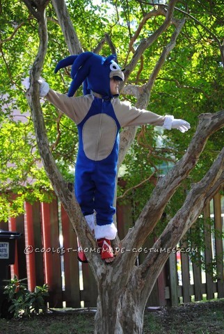 Cool Homemade Sonic the Hedgehogn Costume