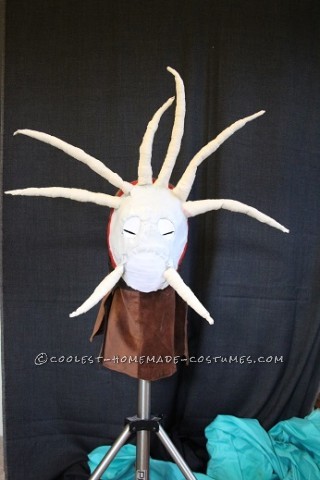 How to Train Your Dragon Valka (Hiccup's Mom) Costume