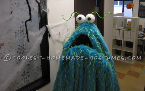 Original Homemade Yip Yip Meets Monsters Inc. Costume