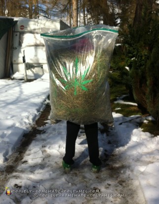 Hilarious Homeamde Bag of Weed Costume!