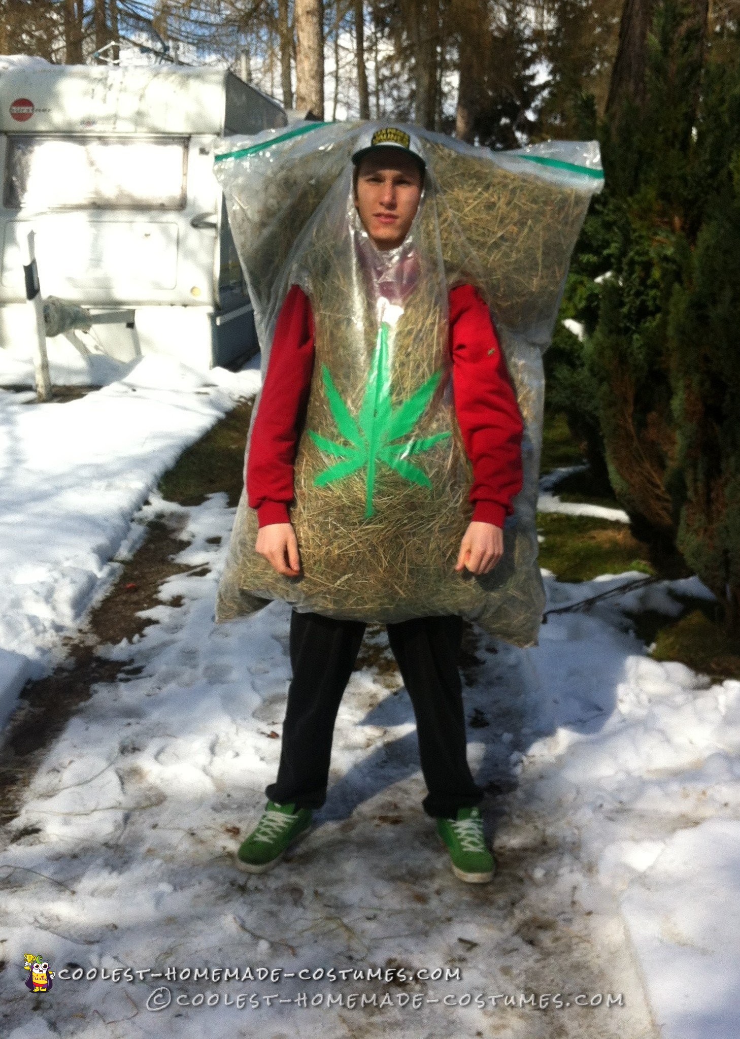 Hilarious Homemade Bag of Weed Costume!