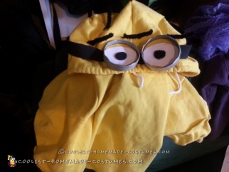 Awesome Homemade Despicable Me 2 Family Costume