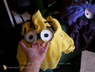 Awesome Homemade Despicable Me 2 Family Costume