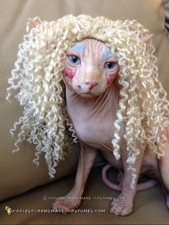 Twisted Sister Cat Costume