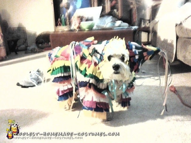 My Real Doggie Pinata Costume