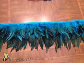 My DIY Samba / Carnival Dancer Costume