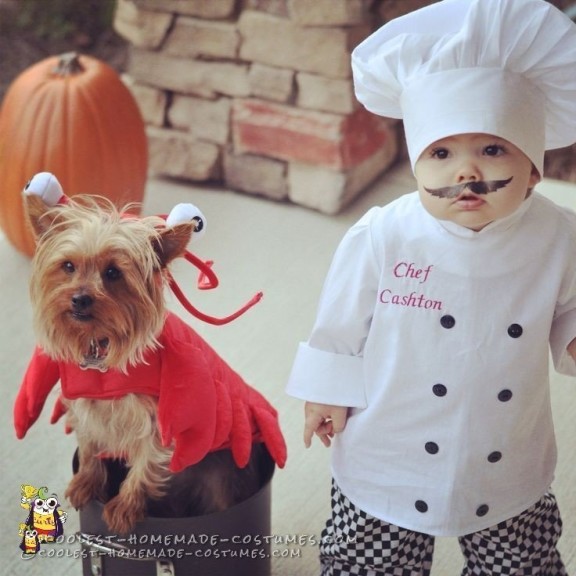Lobster Dog and Baby Chef Costume