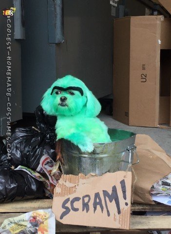 Missy as Oscar the Grouch! 