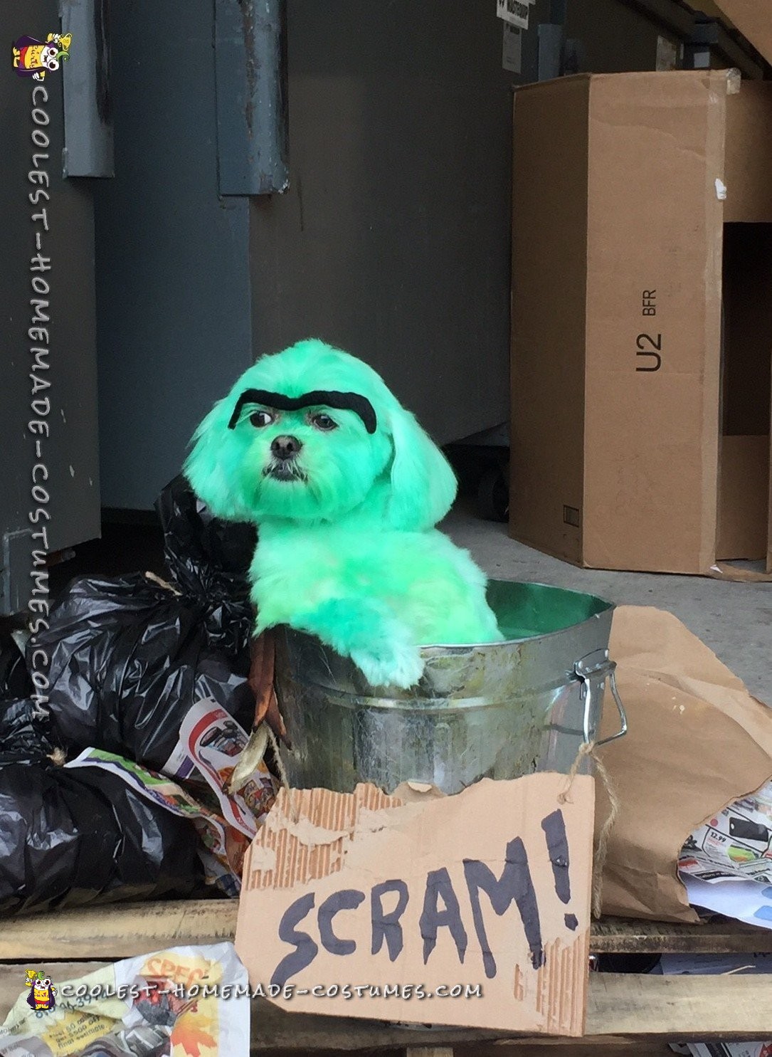 Doggie Doubles as Oscar the Grouch Costume