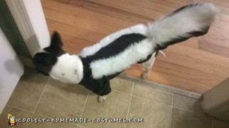 Handmade Flower the Skunk from Bambi Dog Costume