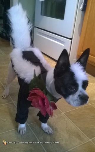 Handmade Flower the Skunk from Bambi Dog Costume