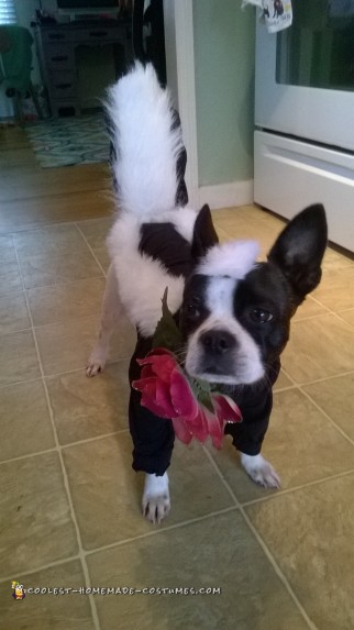 Handmade Flower the Skunk from Bambi Dog Costume