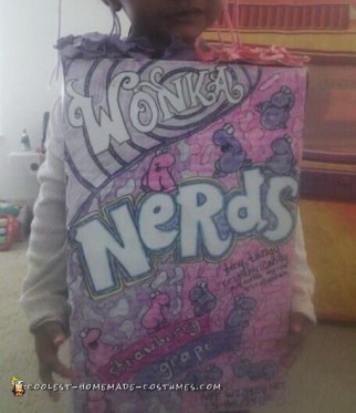 Homemade Nerds Candy Costume