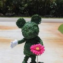 Incredible Topiary Mickey Mouse Costume