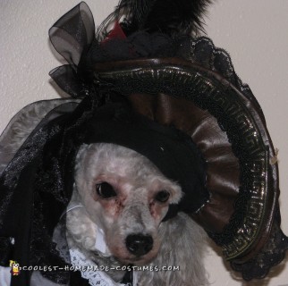 Jack Sparrow and Elizabeth Swann Dog Costumes