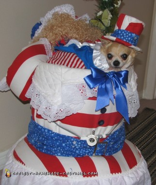 Homemade Dog Costume: Tequila Rose For President