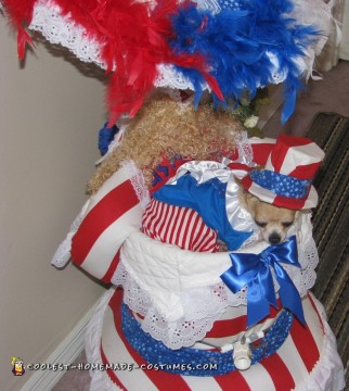 Homemade Dog Costume: Tequila Rose For President