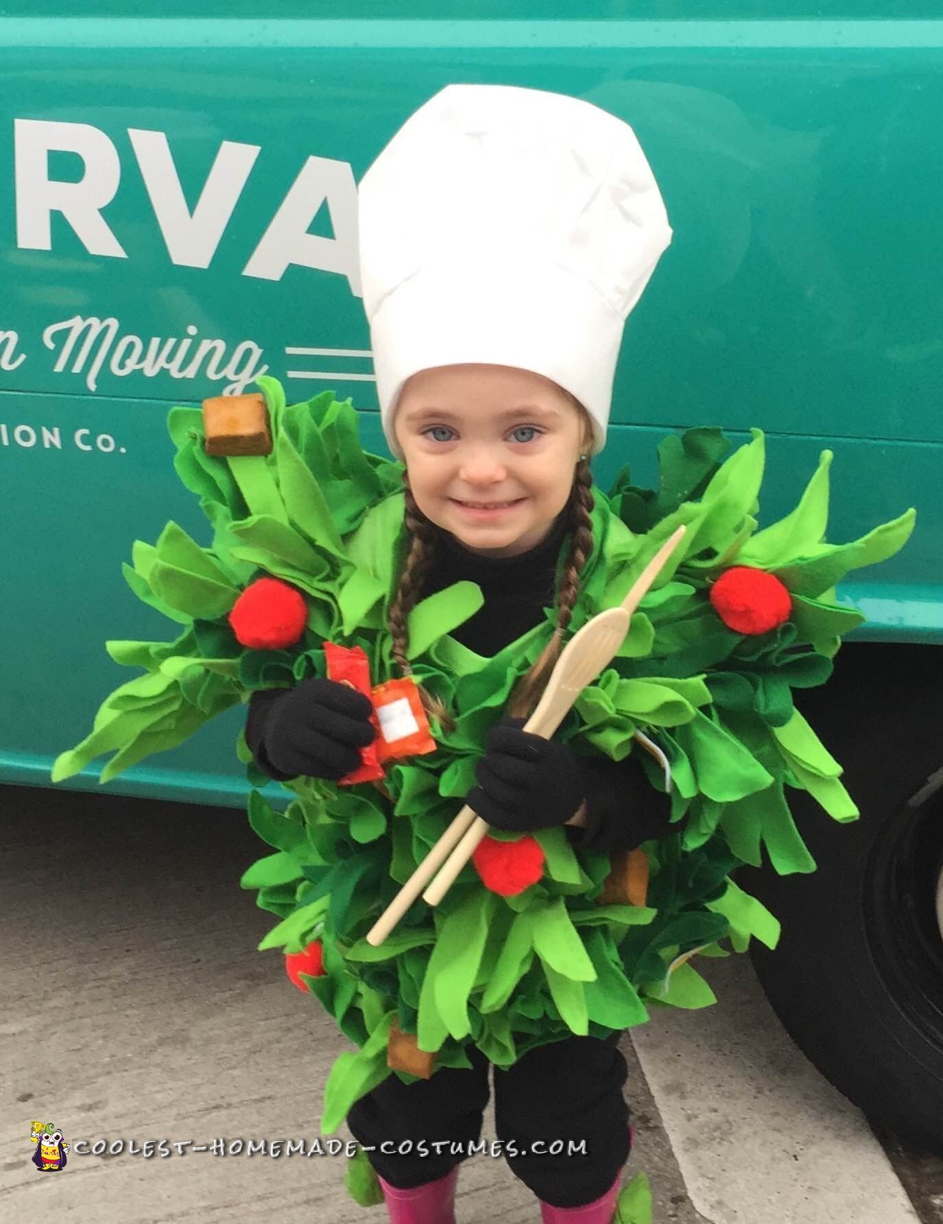 Awesome Chef Salad Costume