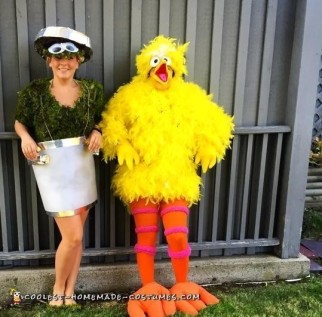 Cute Sesame Street Costume Ideas