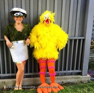 Cute Sesame Street Costume Ideas