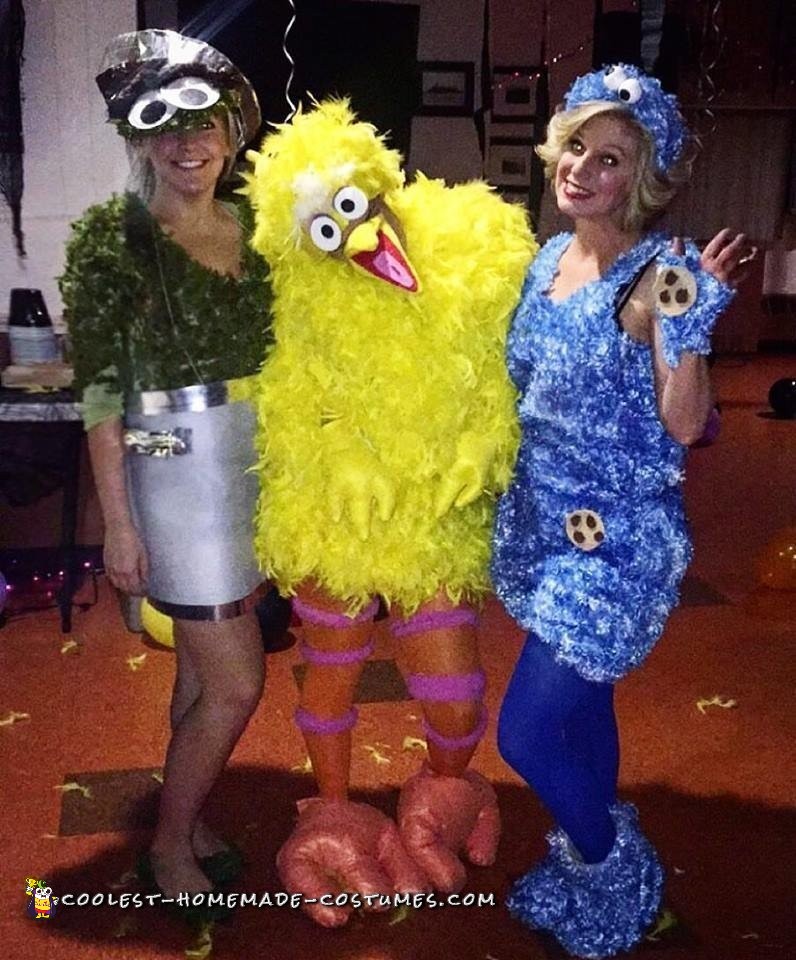 Coolest Homemade Sesame Street Groups Costumes