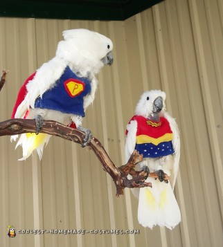 Super Parrot and Wonder Bird Save the Day