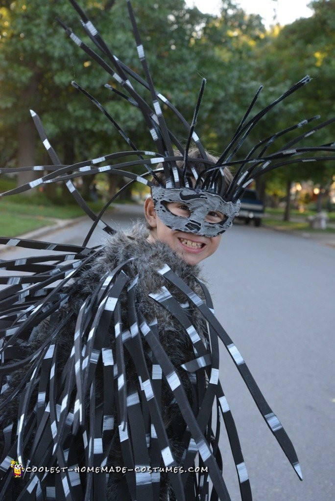 Fierce Porcupine Costume for a Boy