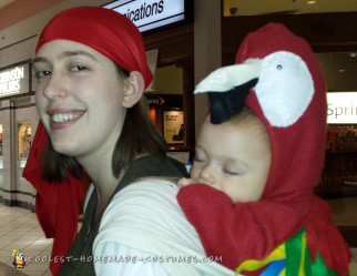 Babywearing Pirate and Parrot Costume