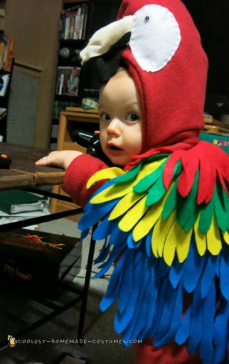 Babywearing Pirate and Parrot Costume