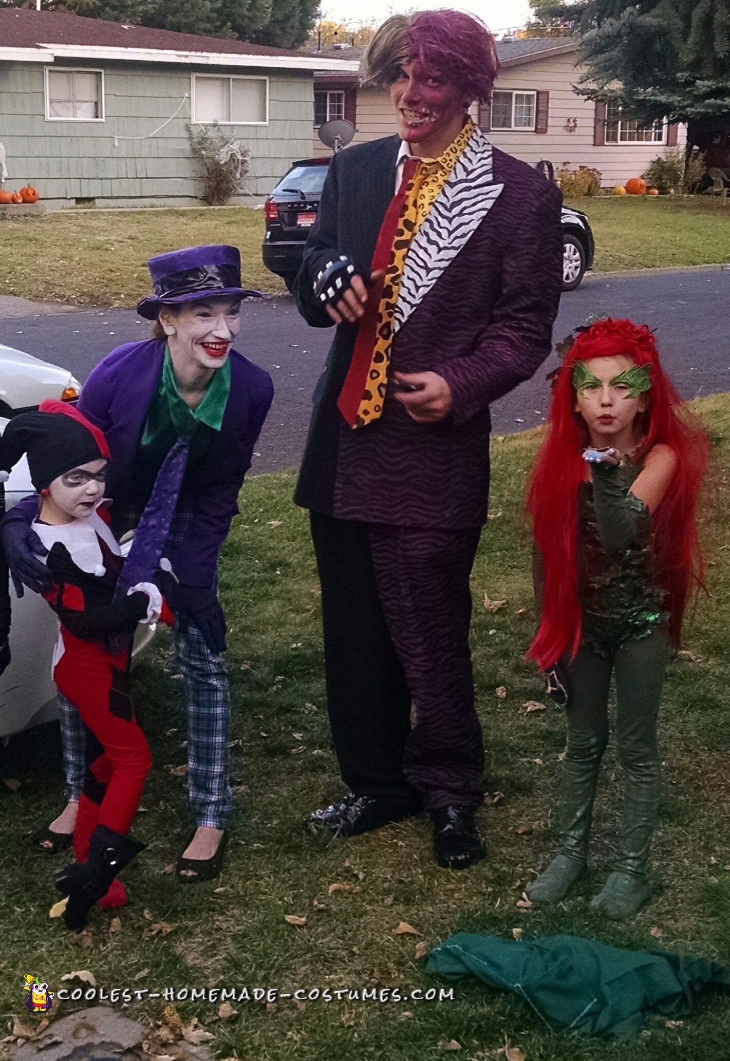 Batman Villains Family Costume Theme