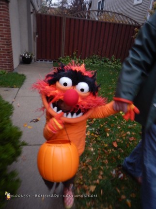 Best Animal from the Muppets DIY Toddler Costume