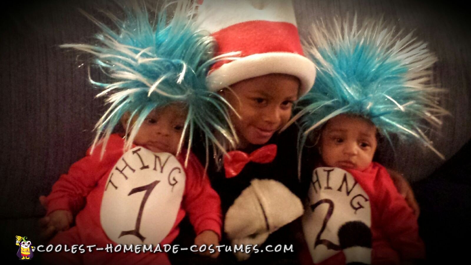 Thing 1 and 2 and Cat in the Hat Costumes